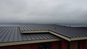 Best Emergency Roof Repair Services  in Wales, WI